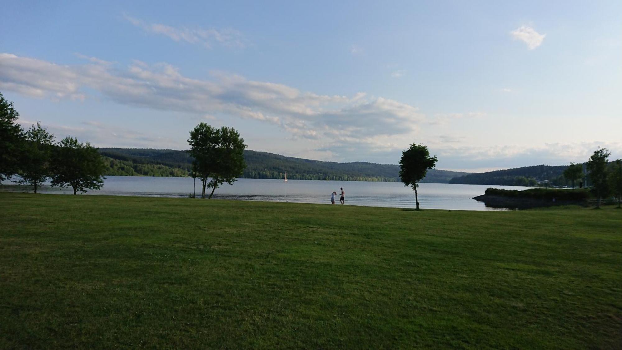 Lipno99 Villa Lipno nad Vltavou Rum bild
